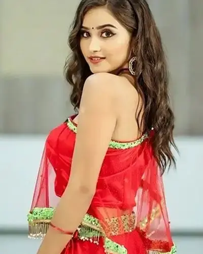 Escort In Gummidipoondi